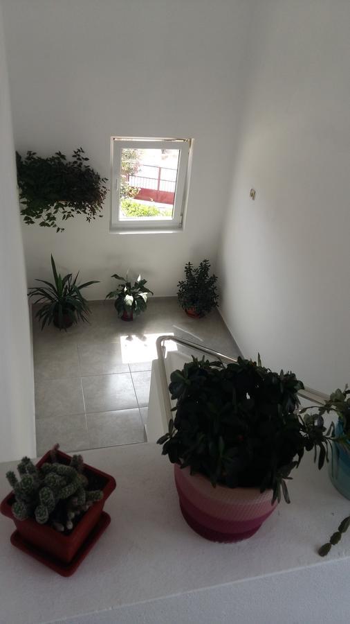 Apartment Hramina Murter Extérieur photo